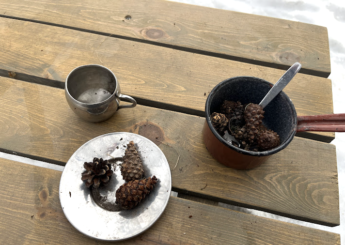 Nature school activity